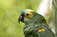 Cjp_2009_07_14_135138 (1).jpg